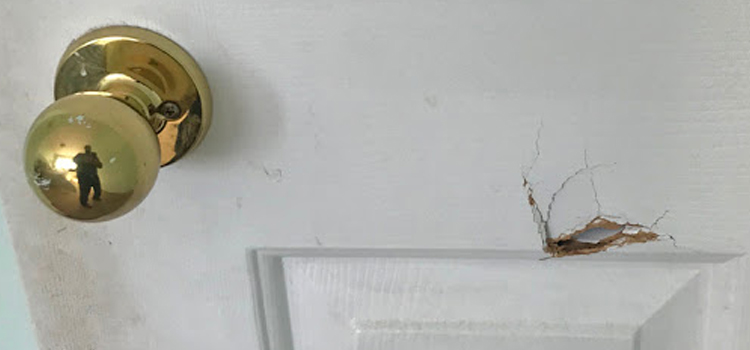 interior door hole repair Castro Valley
